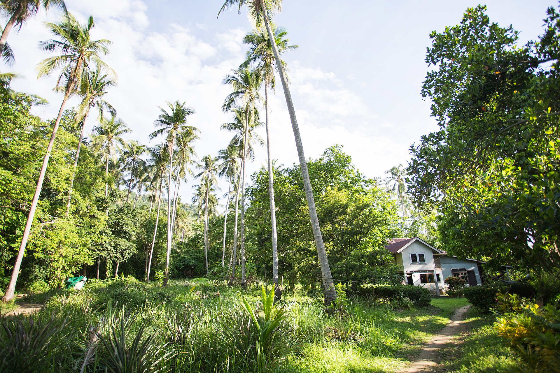 Thailand Elopement Images - the bride and groom getting ready Island Elopements in Phuket, Thailand Image | An oldest house, 120 years old, where the bride and groom getting ready