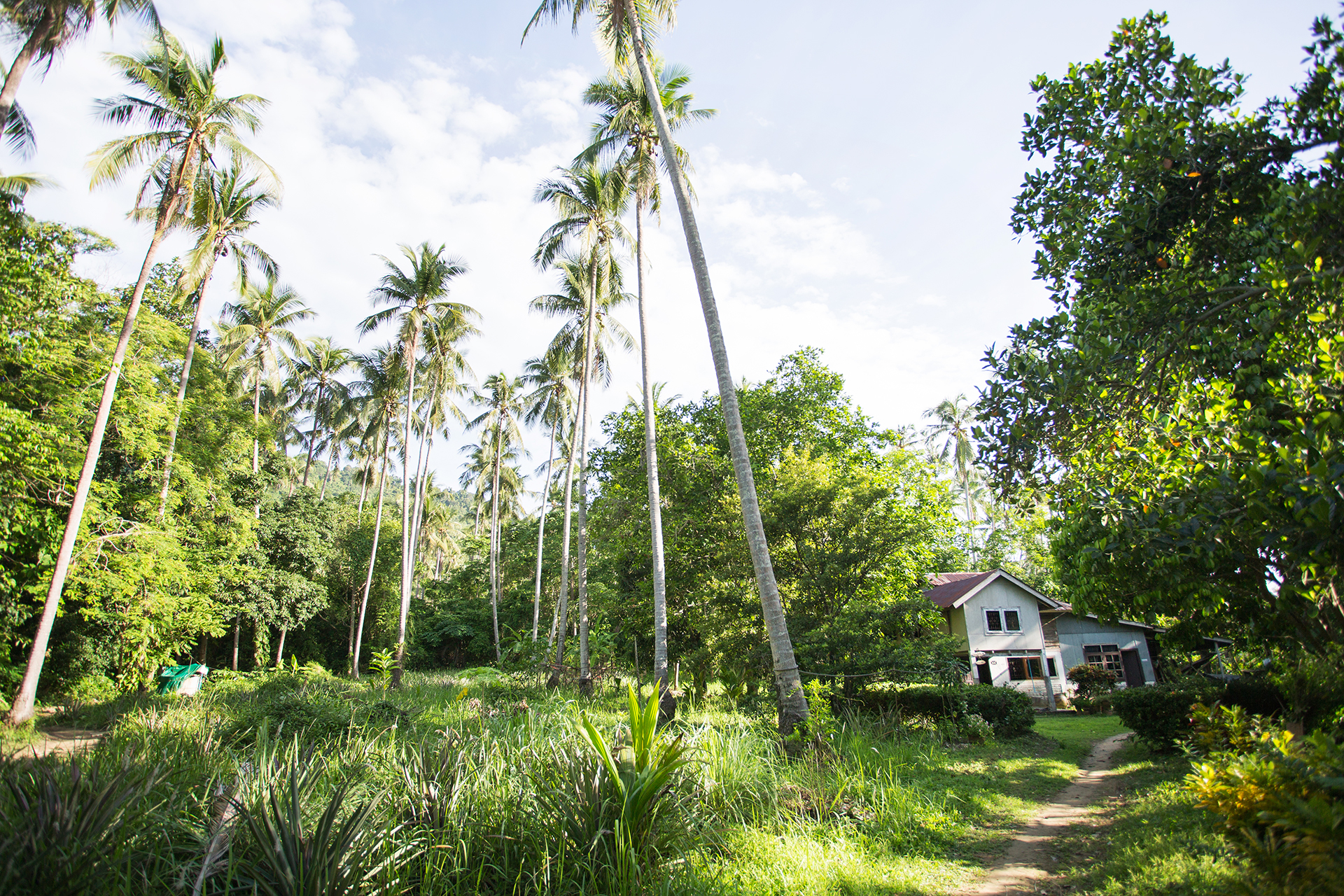 Elopements d'îles à Phuket, Thaïlande Image | Une maison plus ancienne, 120 ans, où les mariés se préparent