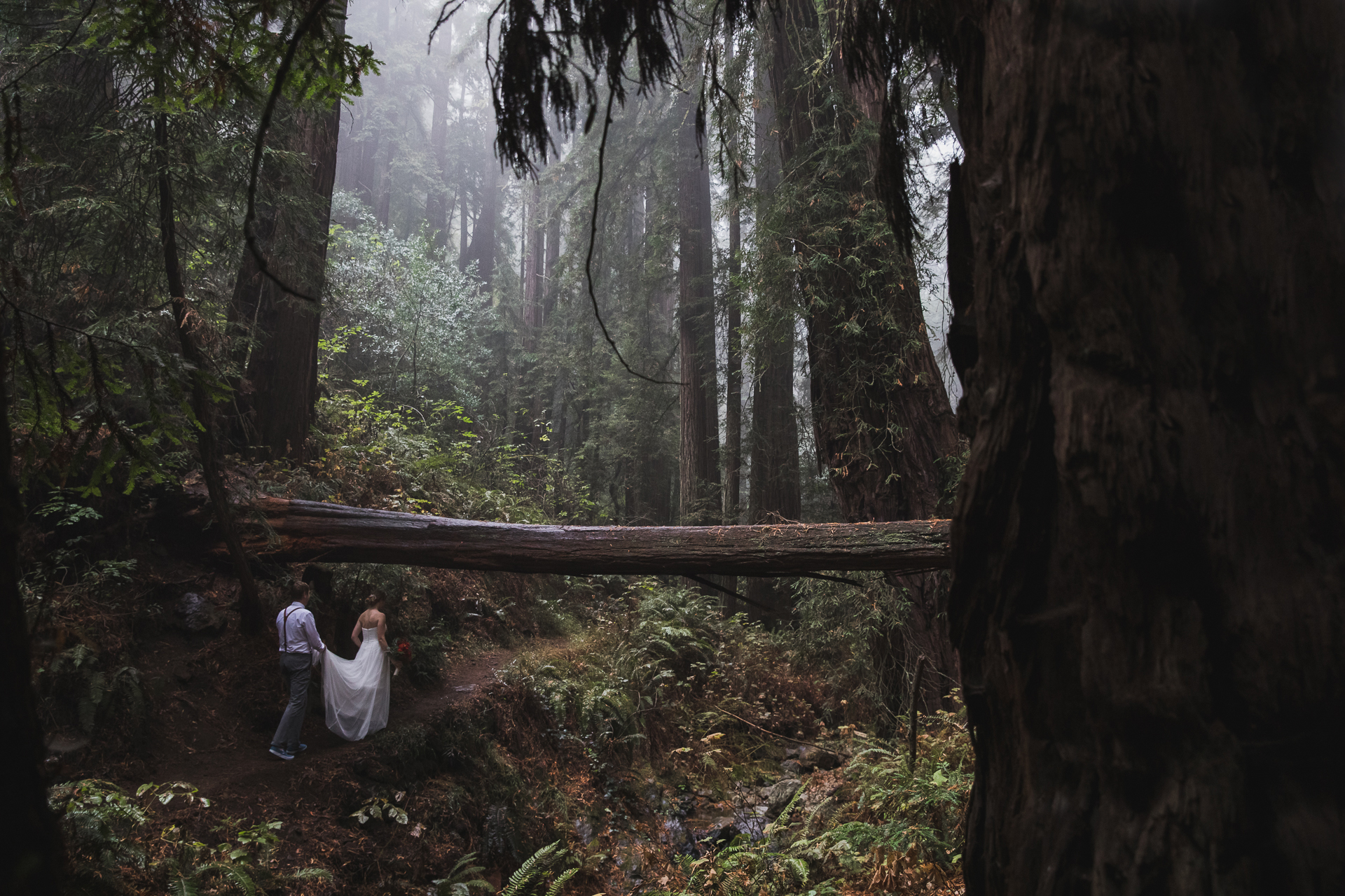 Stinson Beach, Marin County, CA Trouwfotograaf | De ceremonie vond plaats in een oud en schitterend sequoiabos