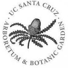 UC Santa Cruz Arboretum Hochzeitsbilder aus dem Botanischen Garten