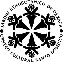 Jardin Etnobotanico 的墨西哥婚禮場地攝影