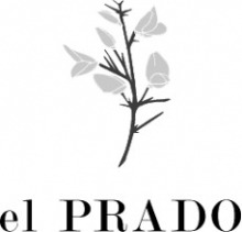 el PRADO 獲獎婚禮場地攝影在加利福尼亞州帕洛阿爾托